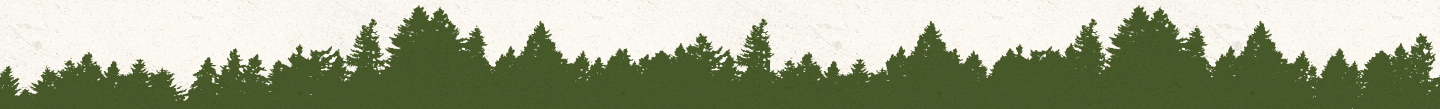 trees silhouette